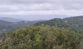 Trail Walking Ramatuelle - Col de Collebasse direction piste de la tourraque piste des Brouis - Photo 7