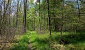 Tour Zu Fuß Unbekannt - Eichenweg - Photo 1