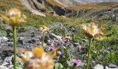 Randonnée Marche Saint-Paul-sur-Ubaye - col de la gypiere  - Photo 3