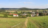 Trail On foot Bad Endbach - Extratour Steinperfer Runde - Photo 2