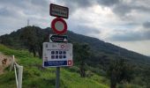 Percorso Marcia Bormes-les-Mimosas - Randonnée des trois cols à Bormes les Mimosas - Photo 12
