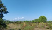 Tour Wandern Laroque-des-Albères - laroque . four solaire . sorede . laroque - Photo 4