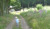 Tour Zu Fuß Lierneux - GrWandArdRiv26: Bra de groene driehoek tussen Lienne en Chavanne - Photo 6