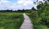 Trail Walking Eupen - Promenade dans la fagne de Brackvenn   - Photo 2