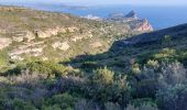 Tour Wandern La Ciotat - st fretouse le semaphore belvédère la  route des crêtes  - Photo 8