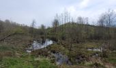 Trail Walking Houffalize - rando wibrin 22-04-2024 - Photo 13