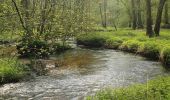 Trail On foot Bergen - De Hamert - Blauwe paaltjes - Photo 9