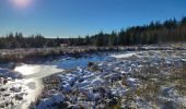 Tour Wandern La Roche-en-Ardenne - Samree 130125 - Photo 6