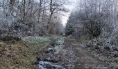 Trail Walking Ferrières - entre xhoris et bois de monty - Photo 5