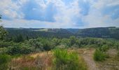 Tour Wandern Bauschleiden - 2023-06-19_14h57m44_eislek-pad-boulaide-1 - Photo 12