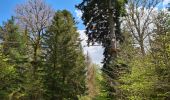 Tocht Stappen Mont-Dore - cascade-puys-Sancy - Photo 3