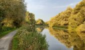 Tocht Stappen Vred - Les tourbières de Vred et les marais de la Scarpe - Photo 9