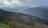 Trail Walking Cornimont - Col du Brabant - croix Louis par Mansuy et Boulaite - Photo 18