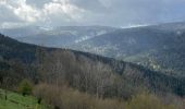 Tour Wandern Cornimont - Col du Brabant - croix Louis par Mansuy et Boulaite - Photo 18