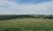 Tour Wandern Bastnach - rando lutrebois 2-06-2022 - Photo 6