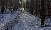 Tocht Elektrische fiets Strueth - sortie vtt 21012024 mertzen - Photo 1