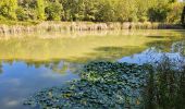 Percorso Marcia Méounes-lès-Montrieux - Meounes les Montrieux-Lac - Photo 5