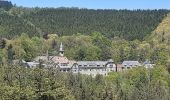 Tocht Stappen Stoumont - moulin du ruy . ruy . andrimont . cour . borgoumont . moulin du ruy - Photo 6