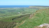 Randonnée A pied Unknown - Causeway Coast and Glens - 14 - Binevenagh - Photo 8