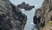 Trail Walking Cléden-Cap-Sizun - raz - Photo 4