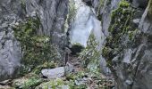 Tocht Stappen Sixt-Fer-à-Cheval - Gorges des Tines - Gers - Samoens  - Photo 2