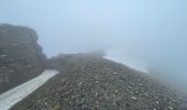 Tocht Stappen Saint-Dalmas-le-Selvage - Mercantour : Col des Fourches  - Photo 17