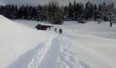 Tocht Sneeuwschoenen Cornimont - Raquettes   LE BRABANT - Photo 1