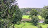 Tour Wandern Esneux - esneux . ham . roche aux faucons par les petits chemins  - Photo 5