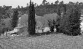 Percorso Marcia Vidauban - Vidauban - Château d'Astros - Chapelle St Lambert - Photo 13