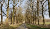 Tocht Elektrische fiets Ronse - Sentier de l'amour à Anvaing à partir de Renaix - Photo 18