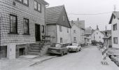 Tour Zu Fuß Friedrichroda - Ww Finsterbergen - Spießberghaus - Photo 7