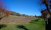 Tour Wandern Noizay - Noizay - Sentier vignes et coteaux - 14km 185m 3h00 - 2022 02 26 - Photo 3