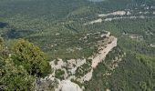 Trail Walking La Farlède - De La farlède vers le sommet du Mont Coudon, puis retour par le petit Coudon - Photo 10