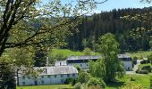 Tour Wandern Herbeumont - Herbeumont - Photo 5