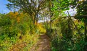 Tour Wandern Aywaille - Balade à Aywaille - Photo 17