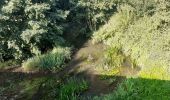 Trail Walking Montrésor - montresor - Photo 12