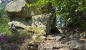 Trail Walking Soisy-sur-École - Soizy-sur-Ecole - La Padole - Photo 4