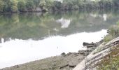 Tocht Stappen Cléon - Cléon vers Bédane le long de la Seine - Photo 6