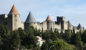 Randonnée A pied Carcassonne - Bord de l'Aude + Cité 01 - Photo 3