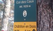 Excursión Senderismo Die - Abbaye Val croissant - Chatillon en diois - Photo 1
