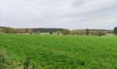 Trail Walking Libramont-Chevigny - Entre Vierre et Ourthe - Photo 18