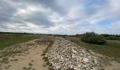 Trail Walking Port-des-Barques - Île Madame - Photo 9