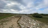 Tocht Stappen Port-des-Barques - Île Madame - Photo 9