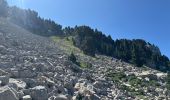Tour Wandern Saint-Agnan-en-Vercors - Grand Veymont face ouest  - Photo 7