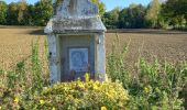 Tocht Stappen Walcourt - Adeps Berzée 09-10-2022 - Photo 3