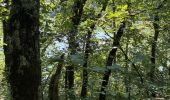 Trail Walking Rieux-Volvestre - La Garonne rieux Volvestre dans le 31 - Photo 4