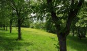 Tour Zu Fuß Hofbieber - Julius-von-Kreyfelt-Malerrundweg - Photo 2