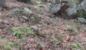 Trail Walking Trois-Ponts - brume 2 - Photo 4