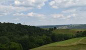 Tour Wandern Pepinster - 20230612 - Cornesse 5.9 Km - Photo 16