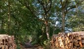 Excursión Senderismo Villers-la-Ville - VOV - promenade de Berines, par St Bernard et 4 chênes  - Photo 2